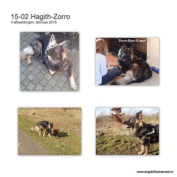 Mooie foto's van Zorro in januari en februari 2015